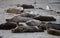 Baby Seal in the sand at Children\\\'s Pool Beach - Pacific Harbor Seal