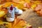 Baby shoes on a background of autumn leaves closeup. Place for t