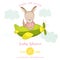 Baby Shower or Arrival Card - Baby Girl Kangaroo Flying on a Plane