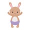 Baby shower, cute little bunny with diaper animal cartoon, celebration welcome newborn