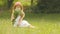 Baby sits on a glade in a sarafan and hat, holds wild flowers and smiles