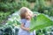 Baby sitting in cabbage plant. Cute little girl on cabbage field