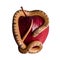 Baby snake on apple