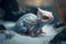 Baby Snow Dragon.generative ai