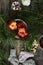 Baby socks and small shaped apples on dark background