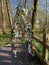 Baby soother tree at Clare Lake McMahon Park, Claremorris