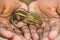 Baby squirrel sleeping on human hand, Common indian baby squirrel sleeping on the book. Blur background