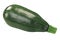 Baby striped zucchini Cucurbita pepo fruit, isolated,  top view