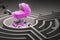 Baby stroller at the center of a maze, 3D rendering