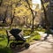 baby stroller walking in the park summer day