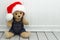 Baby stuffed toy teddy bear in a santa hat