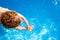 Baby swims in a pool trying to reach a toy in the water, top view in summer