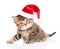 Baby tabby kitten in christmas hat looking at camera. isolated on white