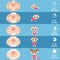 Baby teething chart