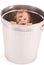 Baby in trash can