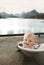 Baby traveling in Norway family vacations lifestyle outdoor cute child happy smiling