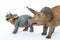 Baby triceratops with mother on white background