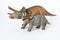 Baby triceratops with mother on white background