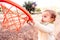 Baby tries to hit a ball in a basketball toy basket