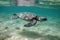 baby turtle with flipper outstretched, swimming away from the shore