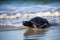 baby turtle scurrying away from danger, headed towards the safety of the ocean