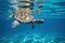 baby turtle swimming in clear blue ocean, with its little legs paddling furiously