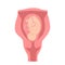 Baby in uterus during pregnancy - anatomical. Vector illustration