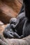 Baby Western Lowland Gorilla at Toronto Zoo
