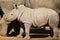 A baby white rhinoceros born in a British zoo in 2022