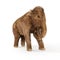 Baby Woolly Mammoth Illustration