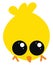 Baby yellow chick, illustration, vector