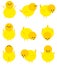 Baby yellow chicken isolated on white icon set.