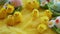 Baby yellow Easter toys chicks and eggs on a background of feathers. Festive video greeting card