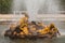 Bacchus Fountain (Autumn fountain) in gardens of Versailles palace