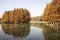 Bacheng Ecological Wetland Park in Suzhou, China during autumn session