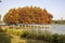 Bacheng Ecological Wetland Park in Suzhou, China during autumn session