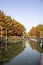 Bacheng Ecological Wetland Park in Suzhou, China during autumn session