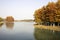 Bacheng Ecological Wetland Park in Suzhou, China during autumn session