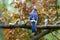 Back of Beautiful Blue jay amidst Burgundy and Green Leaves