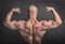 Back double biceps pose by brutal caucasian bodybuilder on grunge background