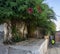 Back entrance of Alpujarra house covered with abundant vegetation