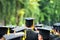 Back of graduates during commencement at university.