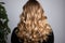 Back hairs nature tribute Isolated blond balayage signifies youth, care, and beauty