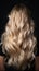 Back hairs nature tribute Isolated blond balayage signifies youth, care, and beauty