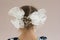 Back of head of three years old caucasian child with two big bows on it on the pink background