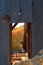 back light golden Aspen trees through old door frame at abandoned mine