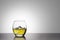 An back lit oval glass of golden Whiskey with ice on a high gloss base against a white background