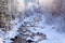 Back lit small tributary flowing in the Jacques-Cartier National Park seen during winter golden hour morning