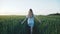 Back look of the girl walking in a green field of young wheat 4K