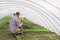 Back man farmer pours water from seedlings hoses in the greenhouse. Man grows seedlings in the warmth of the garden in the country